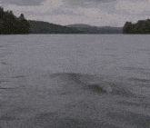 a person 's hand is sticking out of the water and giving the middle finger .