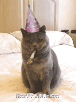 funny happy birthday cat images