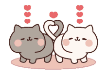 Cat Couple Cute Cats GIF - Cat Couple Cute Cats Cutecatz GIFs
