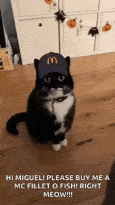 Mcdo Cat Meme GIF - Mcdo Cat Meme Cat Hat GIFs