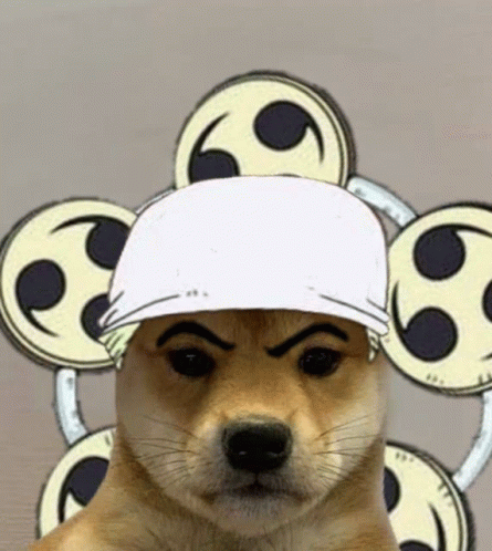 Pin by Stilly on Dog with hat  Anime fight Dog icon Anime