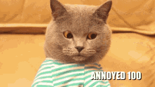 Cats Annoyed100 GIF - Cats Annoyed100 Annoyed GIFs