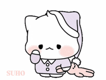 a drawing of a cat wearing a purple hat with the word suho at the bottom