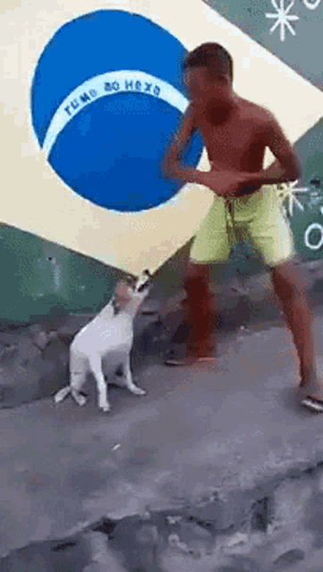 Dog store dancing samba