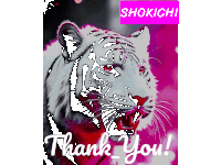 a drawing of a white tiger with the words thank you written below it