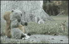 Squirrel Stealing From Imposter GIF - Copy Cat Copy Imposter GIFs