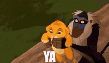 Weekend With The Kids Throw GIF - Weekend With The Kids Throw Simba GIFs