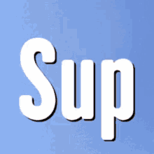 Sup Cat GIF - Sup Cat GIFs