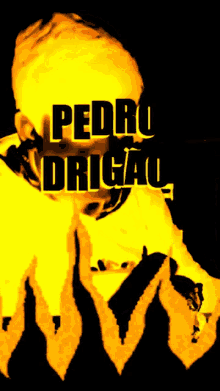 Pedro Drighetti Pedro Henrique GIF - Pedro Drighetti Pedro Henrique Pedro Herique Drighetti GIFs