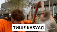 Max Loxkazual GIF