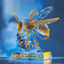 Wild Hornets Wild Hornets Ukraine GIF - Wild Hornets Wild Hornets Ukraine Ukraine GIFs