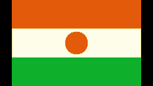 Niger Flag GIF - Niger Flag GIFs