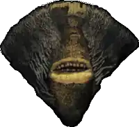 a close up of a fan with a face in the middle