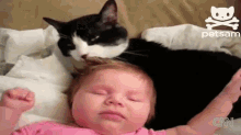 Cat Gives Baby Tongue Bath GIF