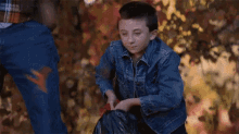 Fall Is Here GIF - Fall Autumn Leaves GIFs