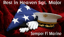 Sgt Major Usmc GIF - Sgt Major Usmc Rest In Peace GIFs
