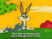 Bugs Bunny Life GIF - Bugs Bunny Life Reality GIFs