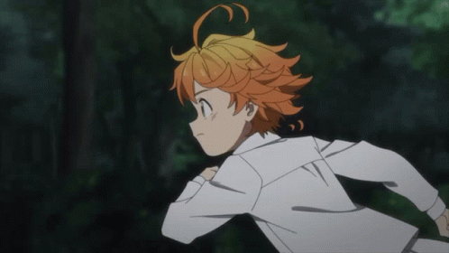 The Promised GIF - The Promised Neverland - Discover & Share GIFs