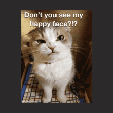 Happy Face GIF - Happy Face Cat GIFs