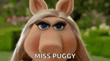 miss piggy from the muppet show is looking at the camera with a serious look on her face and saying `` miss puggy '' .