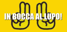good luck fingers crossed in bocca al lupo
