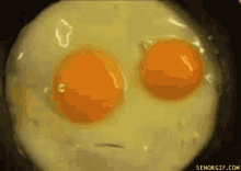Egg Cooking GIF - Egg Cooking Silly GIFs