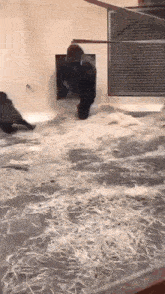 a gorilla is walking through a hole in a cage .