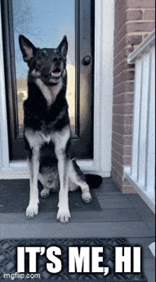 a black and white dog is sitting on a door mat with the words it 's me hi written below it