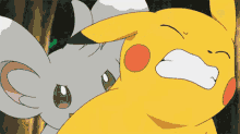 Minccino Pikachu GIF - Minccino Pikachu Pokemon GIFs