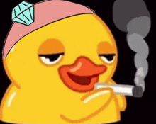 Smoking Carat Duck Seventeen Duck GIF