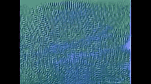 a close up of a green and blue background with a blurred pattern .
