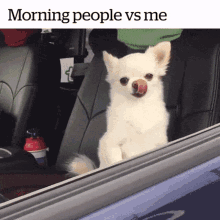 Morning Tired GIF - Morning Tired Dogs GIFs