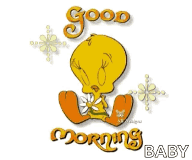 25+ Tweety Bird Good Morning Quotes