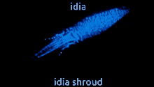 Idia Shroud Idia GIF - Idia Shroud Idia Twst GIFs