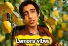 Citron Lemon GIF - Citron Lemon Lemon Vibes GIFs