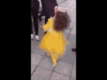 Funny Animals Dog In Dress GIF - Funny Animals Dog In Dress Dogs GIFs