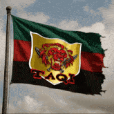 a flag with a lion and the word aqi on it