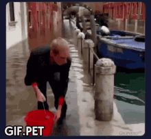 Gif Pet Venice GIF - Gif Pet Venice Bucket GIFs