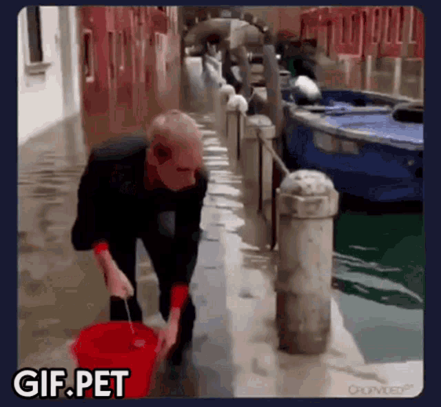 cawater - Banter Thread 8.0 - Page 15 Gif-pet-venice