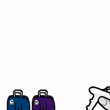 case luggage