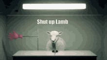 Shut Up Lamb GIF - Shut Up Lamb Shut Up Lamb GIFs