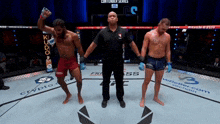 a referee stands between two fighters in a ring that says contender series on the wall