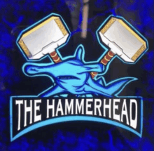 Seppy Hammerhead Hammer Head Picksharks Pick Sharks Shark GIF - Seppy Hammerhead Hammer Head Picksharks Pick Sharks Shark GIFs
