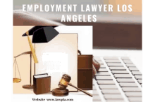Los Angeles Employment Lawyer Vendor Dispute Litigation Lawyer GIF - Los Angeles Employment Lawyer Vendor Dispute Litigation Lawyer Shareholder Dispute Attorney GIFs