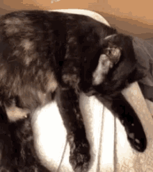 a black cat is laying on a white pillow