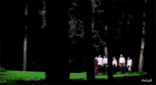 a group of people are standing in the middle of a forest at night .