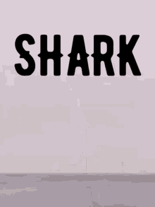 Gtwymer Shark GIF - Gtwymer Shark Week GIFs
