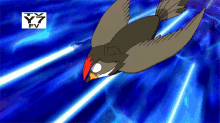 Staraptor Pokémon Staraptor GIF - Staraptor Pokémon Staraptor Brave Bird GIFs