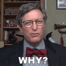 Why Lance Geiger GIF - Why Lance Geiger The History Guy GIFs