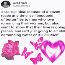 Startup Butterfly GIF